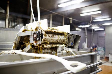 自动化加工工业自动化机械混合海藻沙拉在海鲜加工厂罐装前的生产工艺
